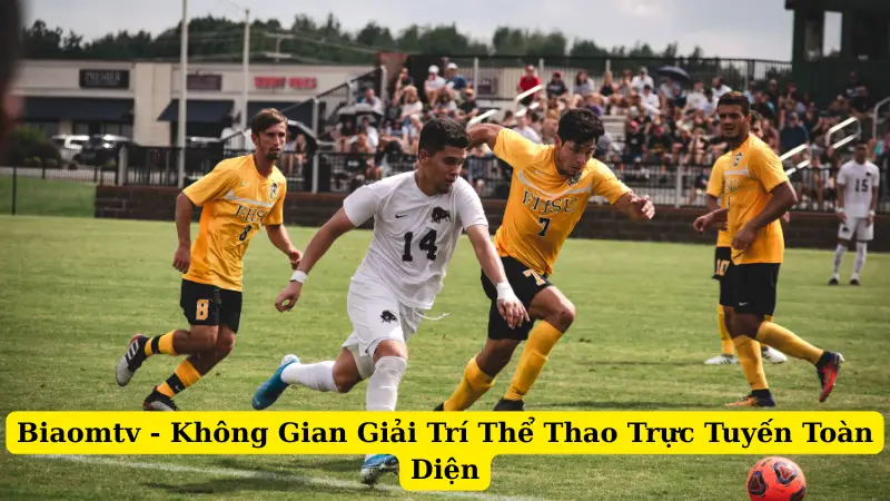 Biaomtv - Không Gian Giải Trí Thể Thao Trực Tuyến Toàn Diện