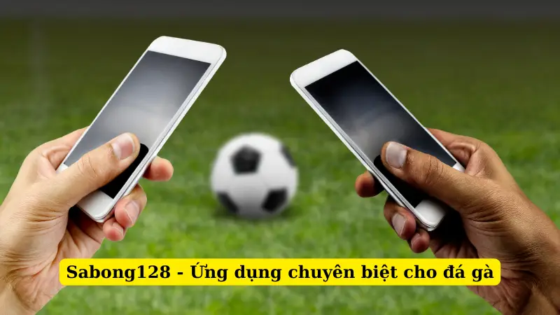 Sabong128 - Ứng dụng chuyên biệt cho đá gà